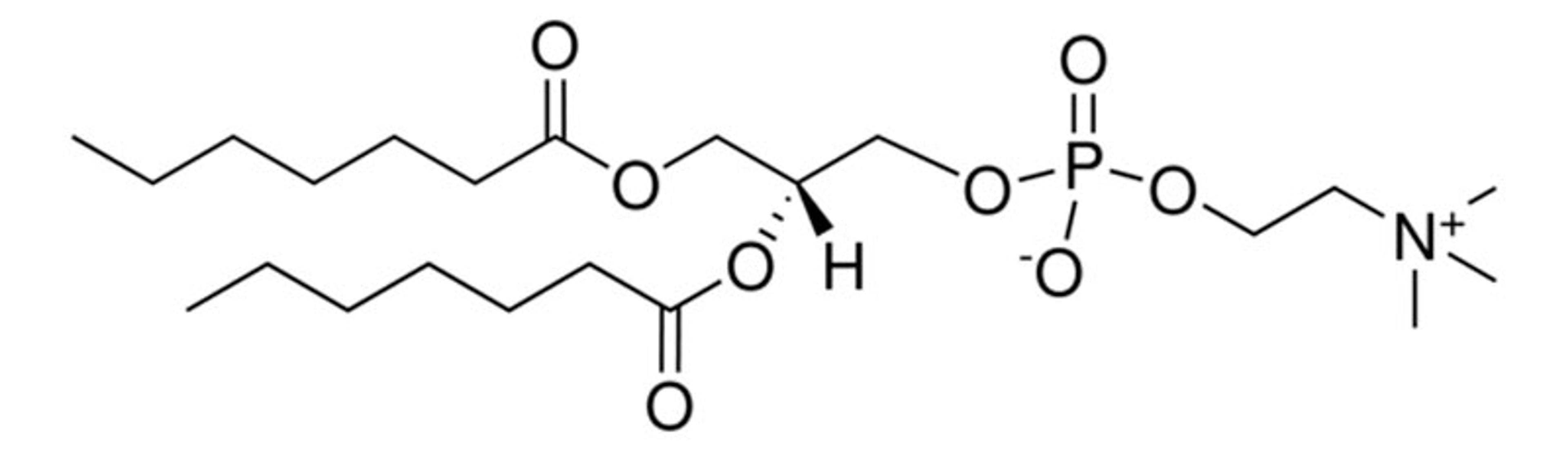 Avanti® Polar Lipids 07:0 PC (DHPC) - Merck KGaA, Darmstadt, Germany - Drug discovery > Drug Manufacturing