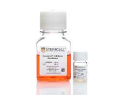 PancreaCult™ Organoid Growth Medium (Mouse) - STEMCELL Technologies Inc. - Life Sciences