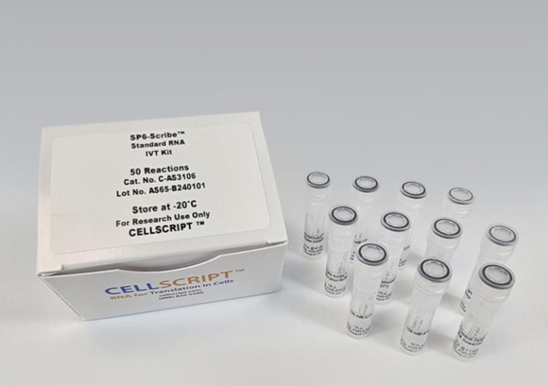 SP6-Scribe™ Standard RNA IVT Kit - CELLSCRIPT™ - Life Sciences