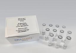 SP6-Scribe™ Standard RNA IVT Kit - CELLSCRIPT™ - Life Sciences