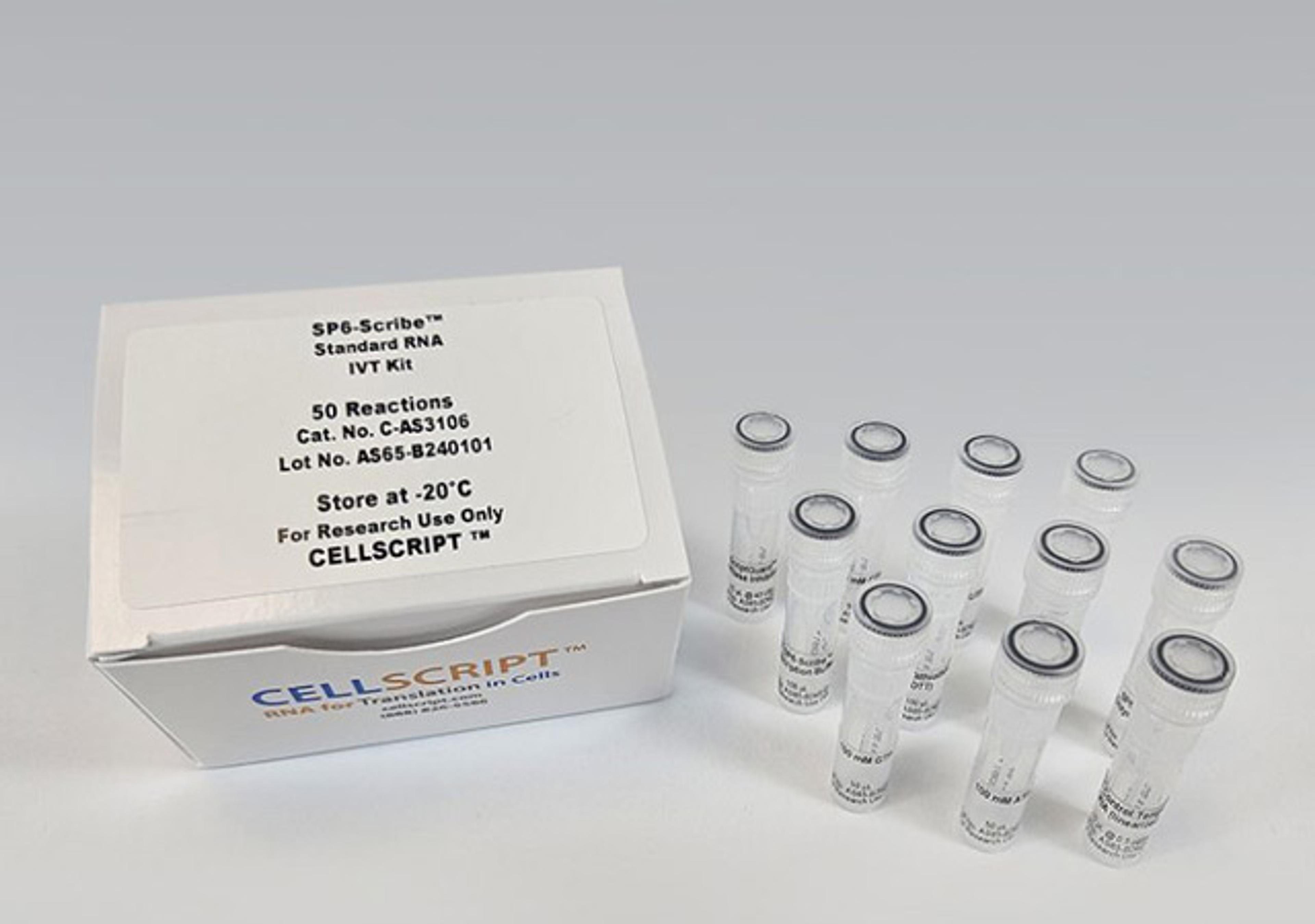 SP6-Scribe™ Standard RNA IVT Kit - CELLSCRIPT™ - Life Sciences
