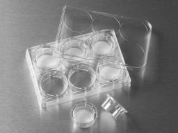 24 mm Transwell® with 3.0 µm Pore Polycarbonate Membrane Insert, Sterile - Corning Life Sciences - Life Sciences