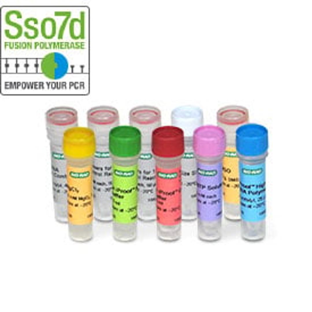 iProof™ High-Fidelity PCR Kit, 50 U (2 U/µl), 25 µl - Bio-Rad - Life Sciences