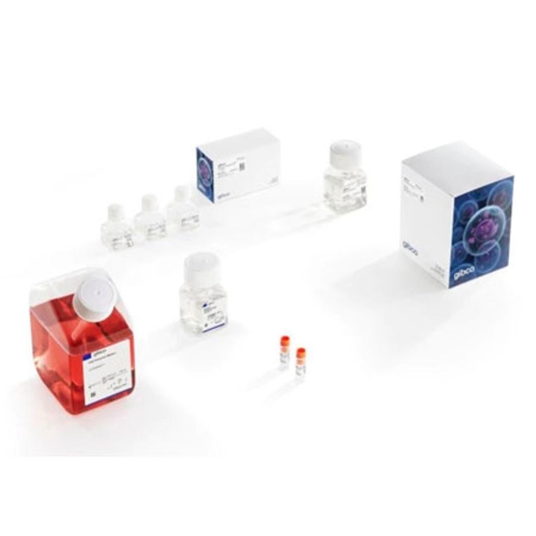 Gibco™ AAV-MAX Helper-Free AAV Production System Kit - Thermo Fisher Scientific - Life Sciences