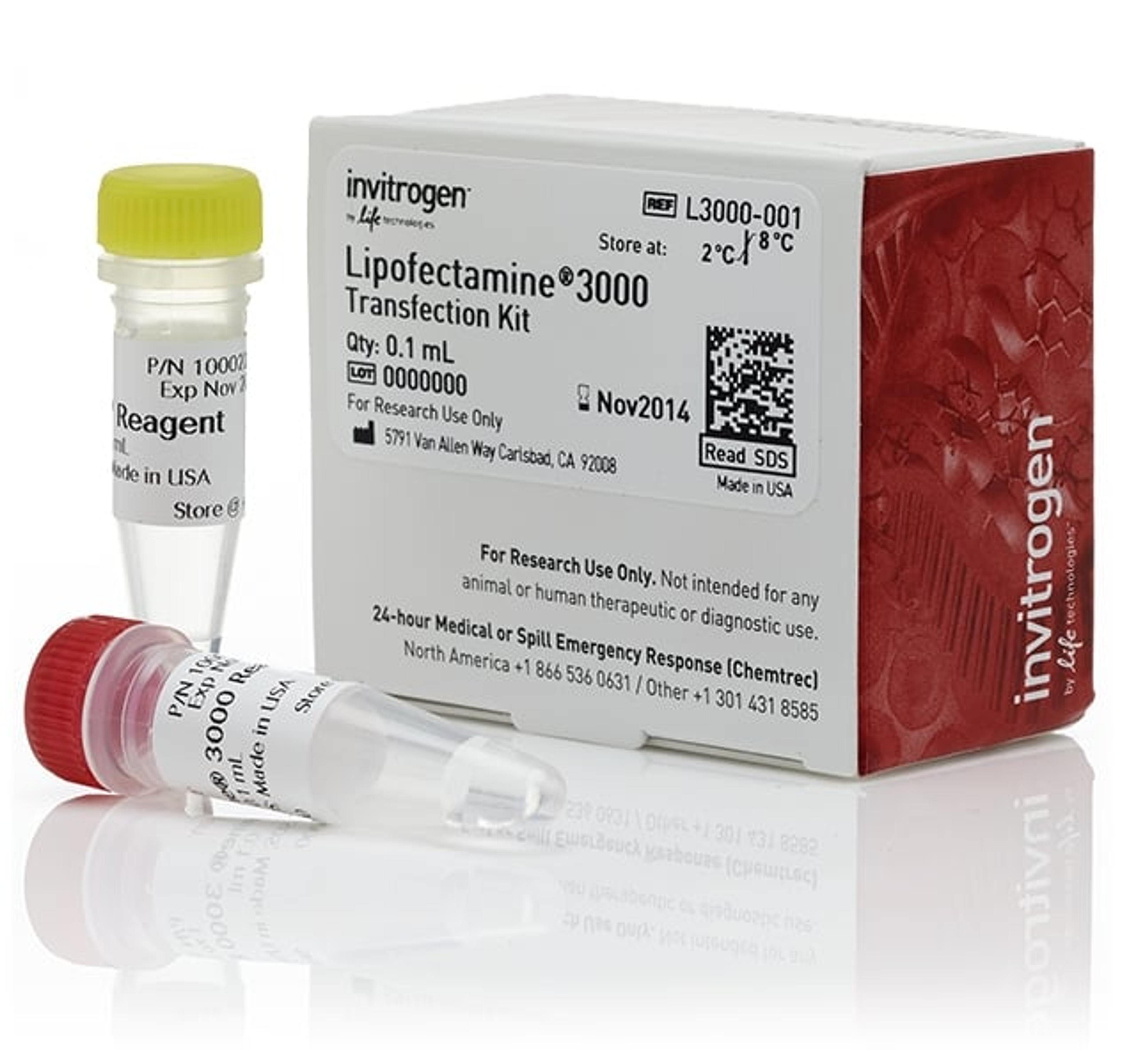 Invitrogen™ Lipofectamine® 3000 Transfection Reagent - Thermo Fisher Scientific - Life Sciences