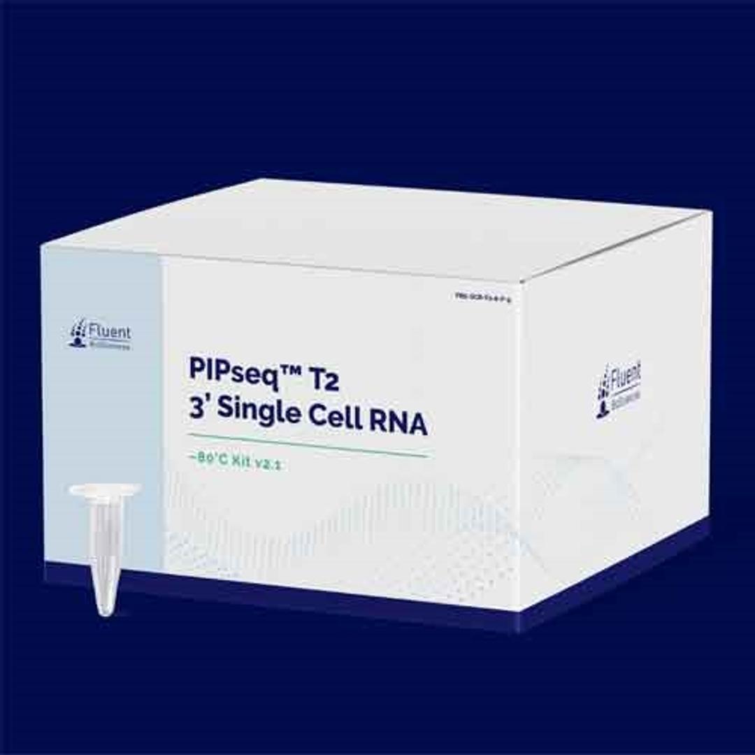 PIPseq™ T2 3’ Single Cell RNA Kit - Fluent BioSciences - Life Sciences