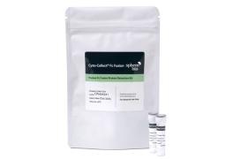 Cyto-Cellect® Fc Fusion Assay Kit - Sphere Bio - Drug Discovery & Development