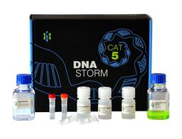 CELLDATA DNAstorm FFPE DNA Extraction Kit - Biotium - Life Sciences