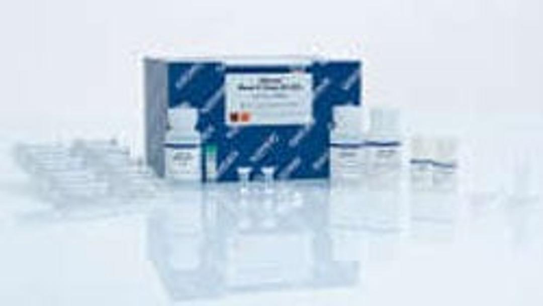 DNeasy 96 Blood & Tissue Kit (4) - QIAGEN