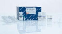 DNeasy 96 Blood & Tissue Kit (4) - QIAGEN