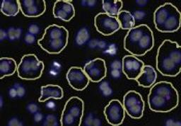Micronucleus V2 Image Analysis BioApplication for Genotoxicity - null - Lab Informatics