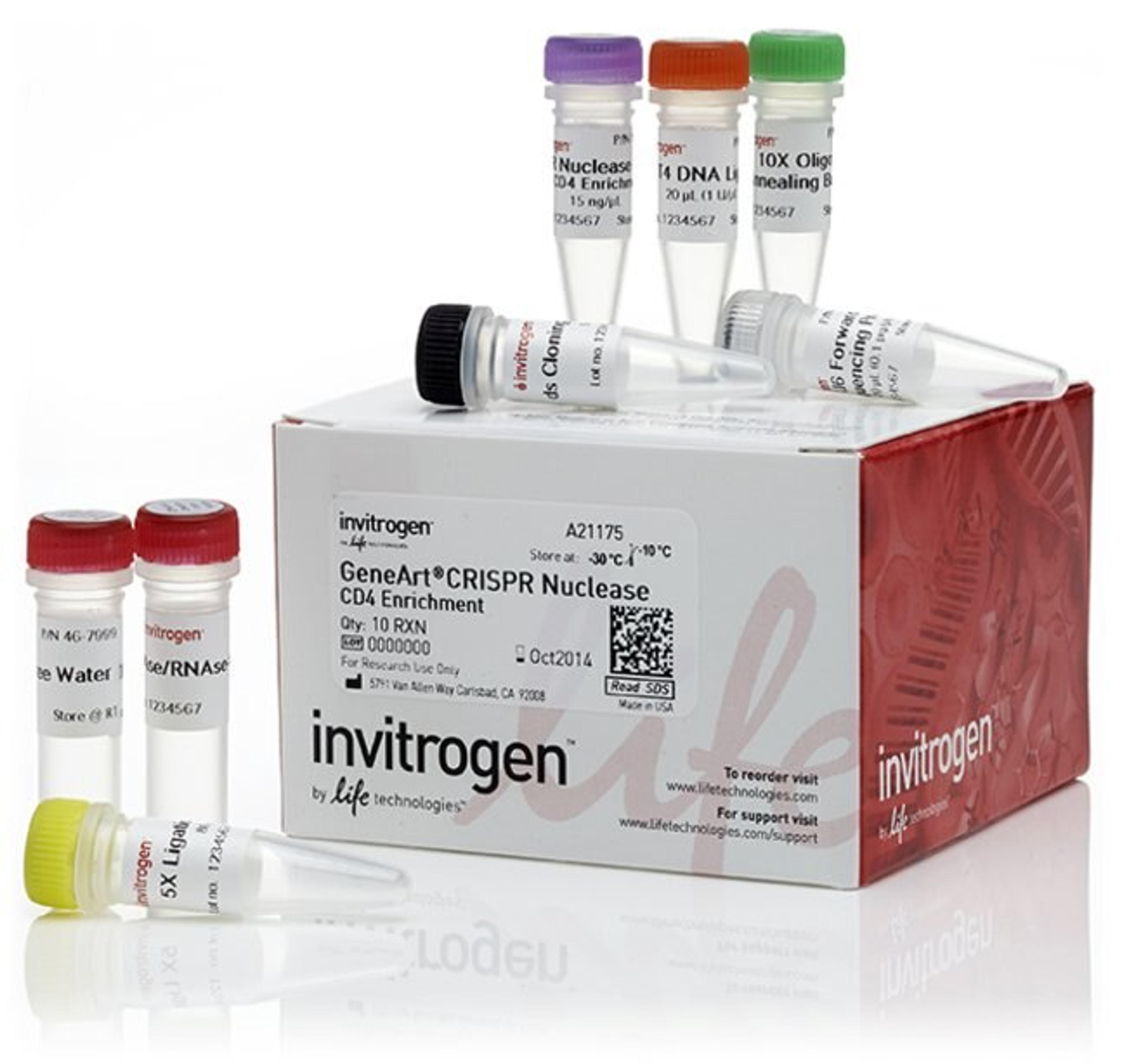 Invitrogen™ GeneArt™ CRISPR Nuclease Vector with CD4 Enrichment Kit - Thermo Fisher Scientific