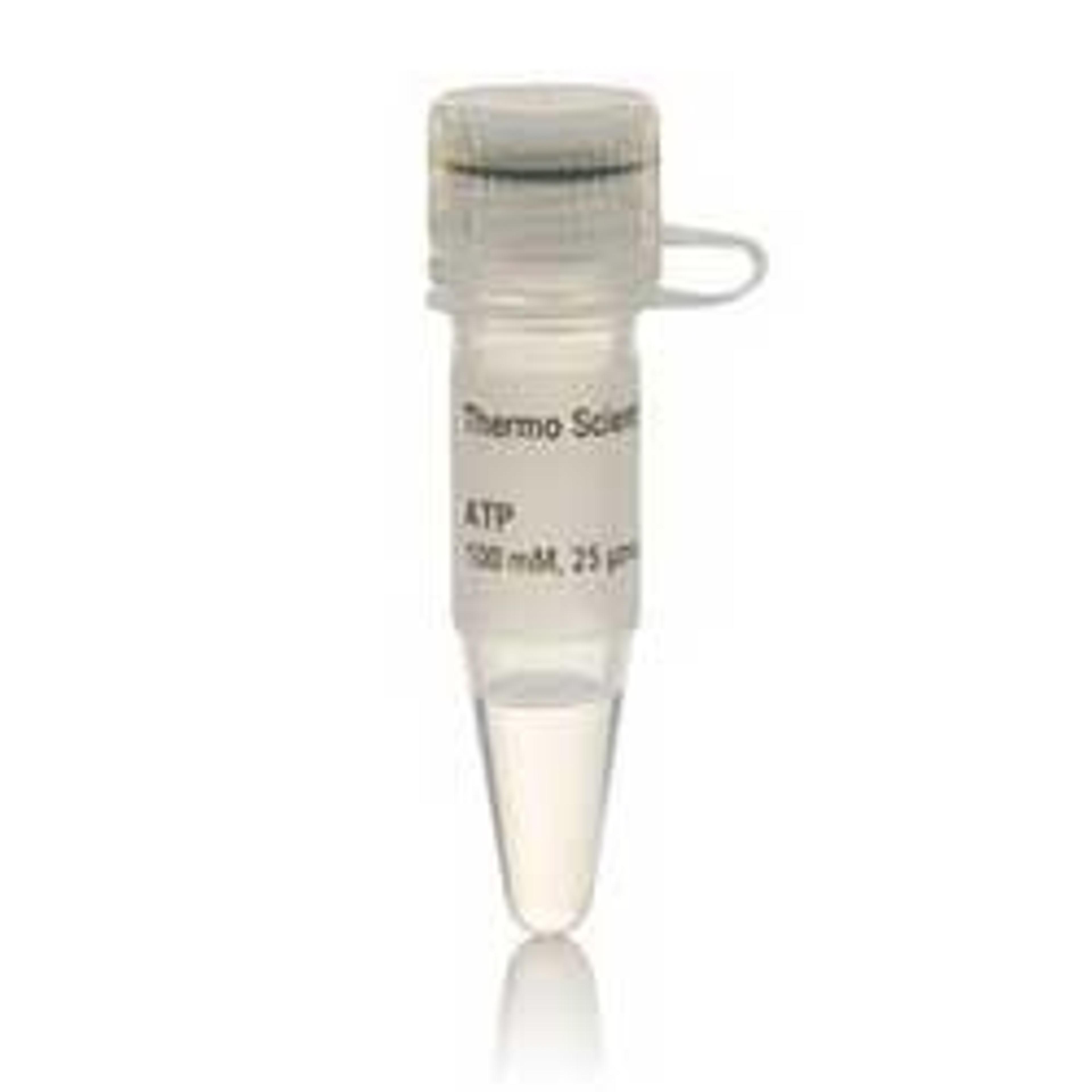 ATP Solution (100 mM) - Thermo Fisher Scientific