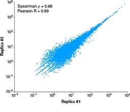 SMARTer Stranded Total RNA Sample Prep Kit - Takara Bio - Life Sciences