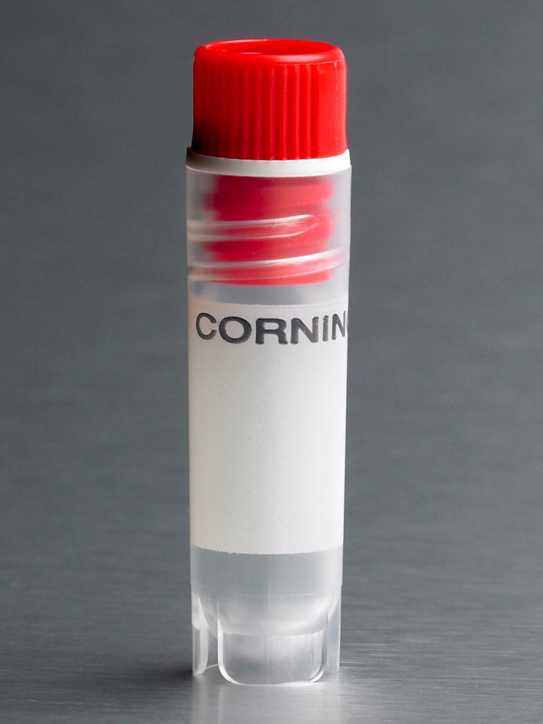Corning® 2 mL Red Cap Internal Threaded Polypropylene Cryogenic Vial, Self-Standing with Round Bottom - Corning Life Sciences - Life Sciences