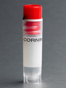 Corning® 2 mL Red Cap Internal Threaded Polypropylene Cryogenic Vial, Self-Standing with Round Bottom - Corning Life Sciences - Life Sciences