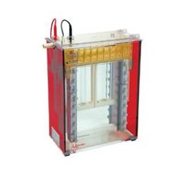 SE660 Tall Standard Dual Cooled Vertical Unit - Hoefer Inc. Europe - Life Sciences