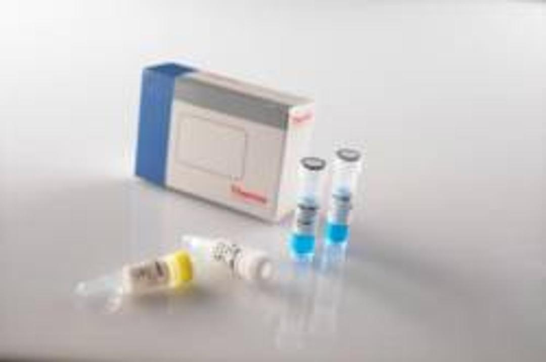 Thermo Scientific Verso 1-Step qRT-PCR Kits - Thermo Fisher Scientific - Life Sciences