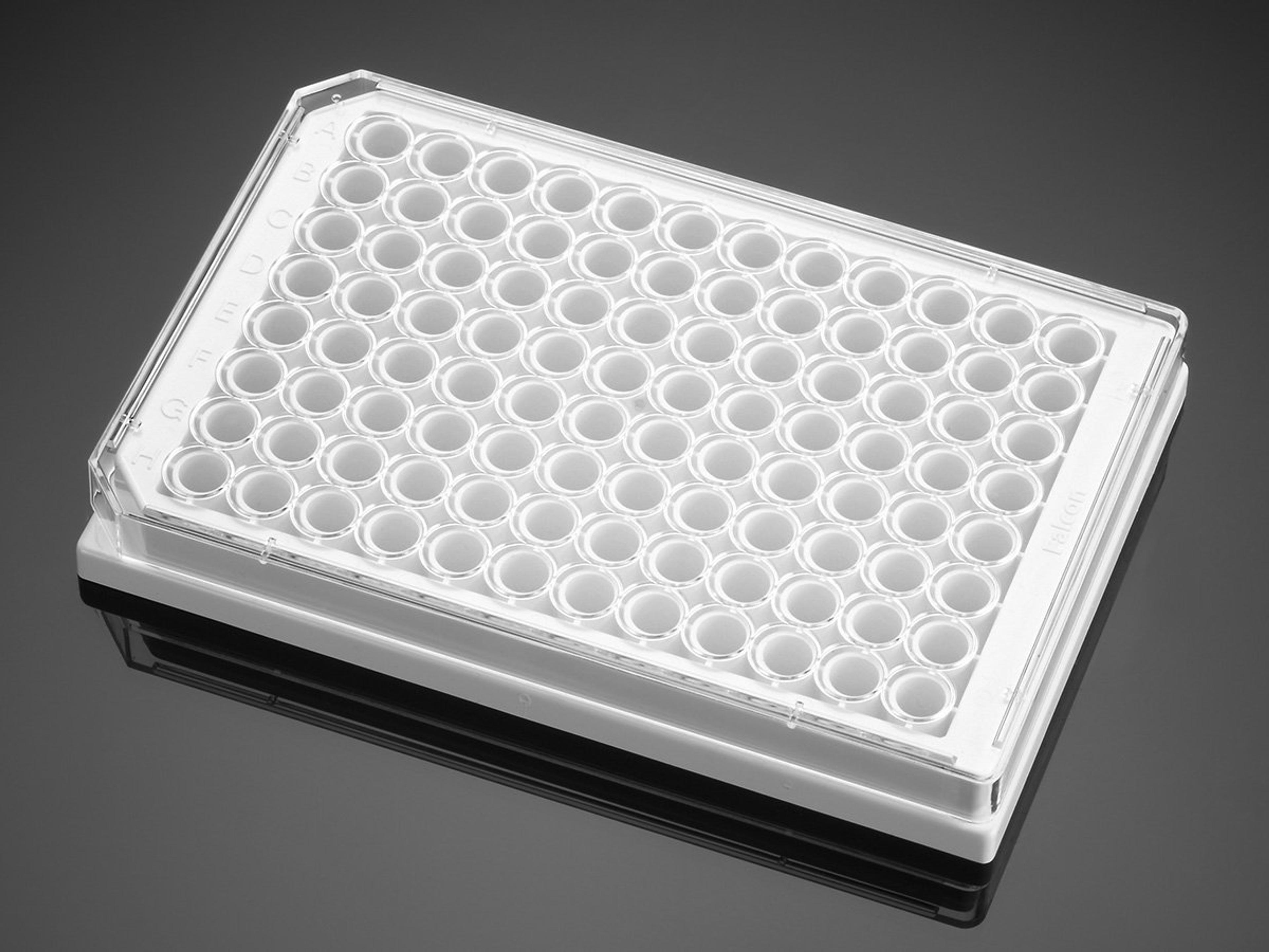 Corning® BioCoat™ Collagen I 96-well White/Clear Flat Bottom TC-treated Microplate, with Lid, 5/Case - Corning Life Sciences - Life Sciences