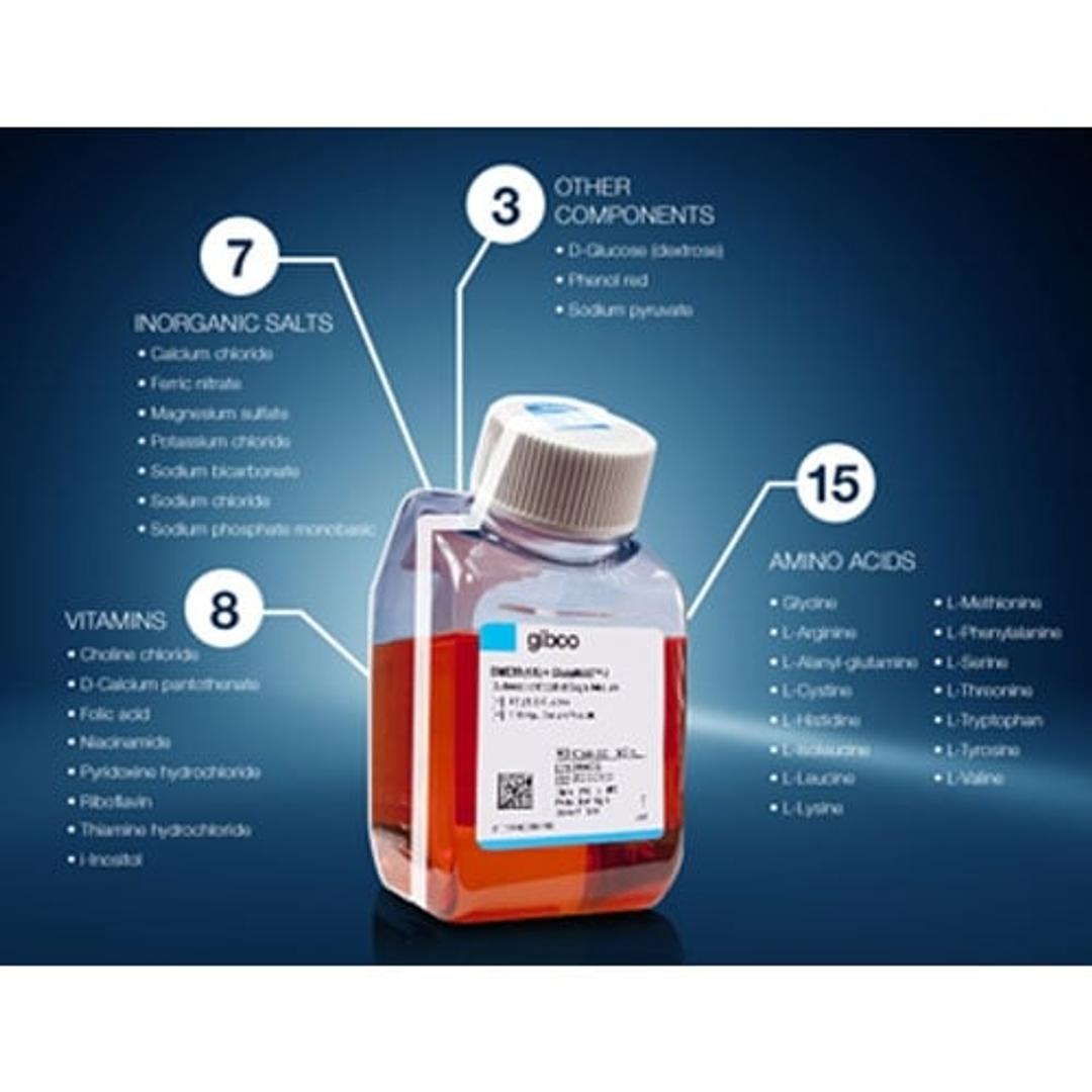 Gibco™ Media Formulation Tool - Thermo Fisher Scientific - Life Sciences