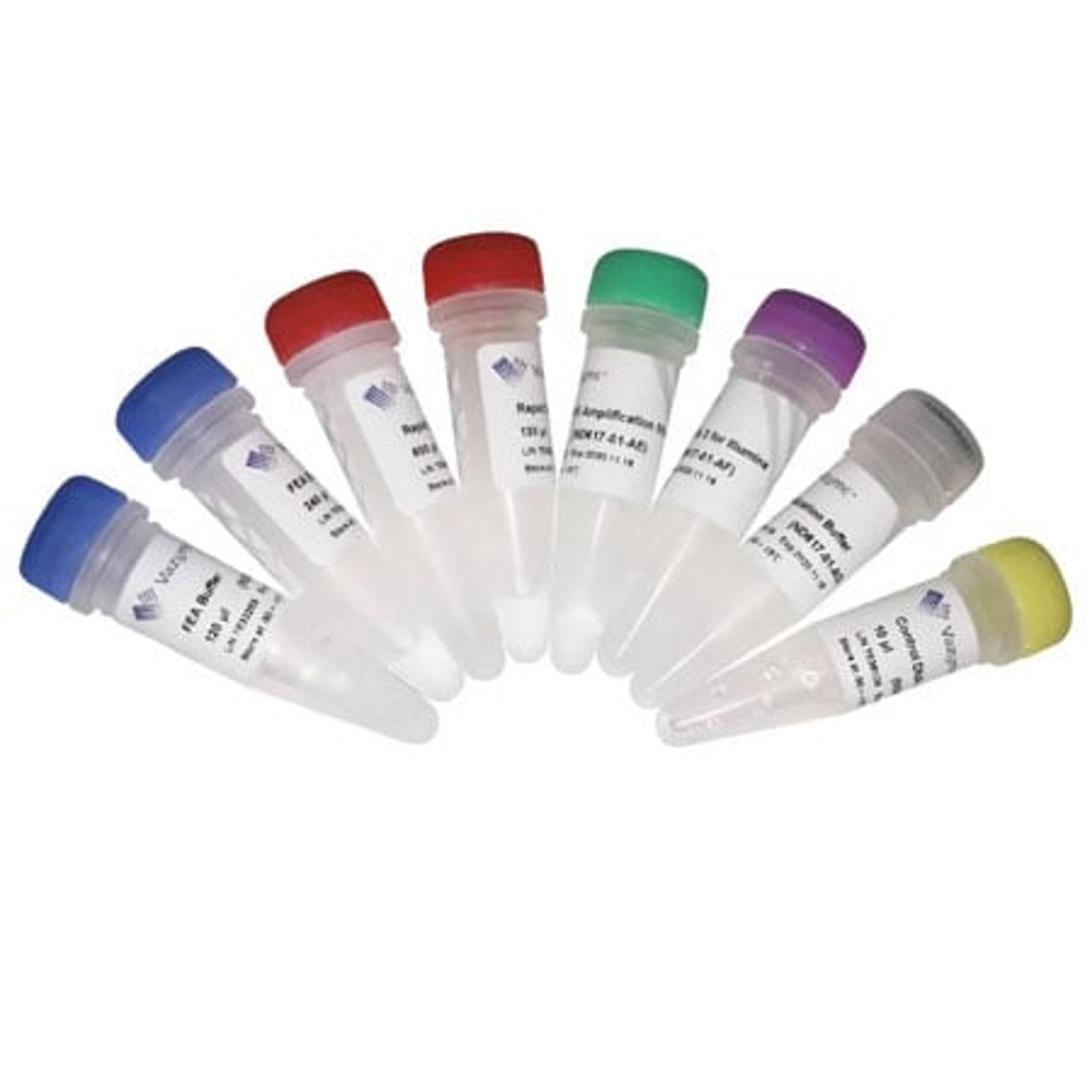 VAHTS Universal Plus DNA Library Prep Kit for Illumina - Vazyme Biotech Co., Ltd - Life Sciences