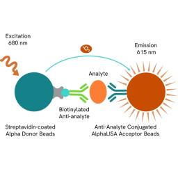 AlphaLISA - Revvity - Life Sciences