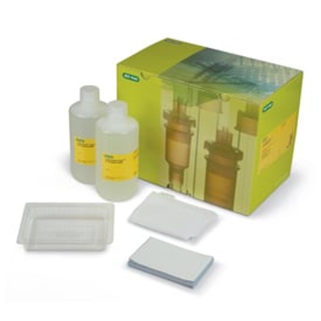 Trans-Blot® Turbo™ RTA Midi LF PVDF Transfer Kit, for 40 blots - Bio-Rad - Life Sciences