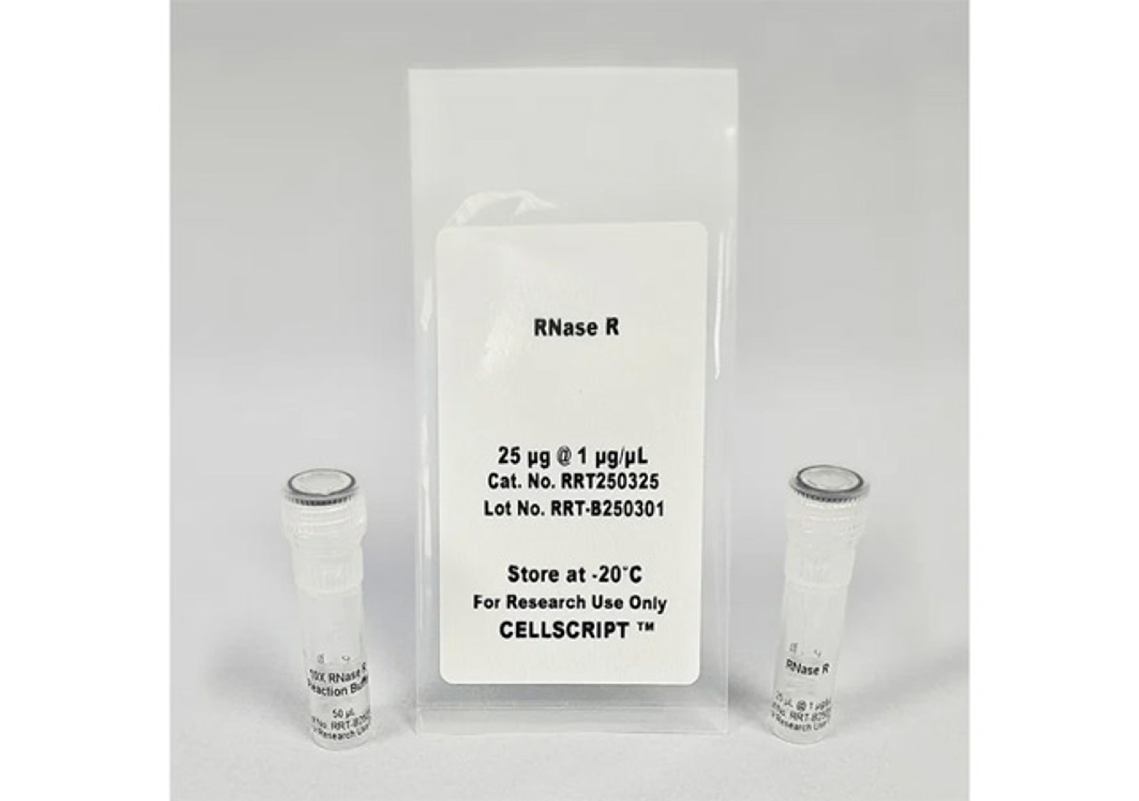 RNase R - CELLSCRIPT™ - Life Sciences