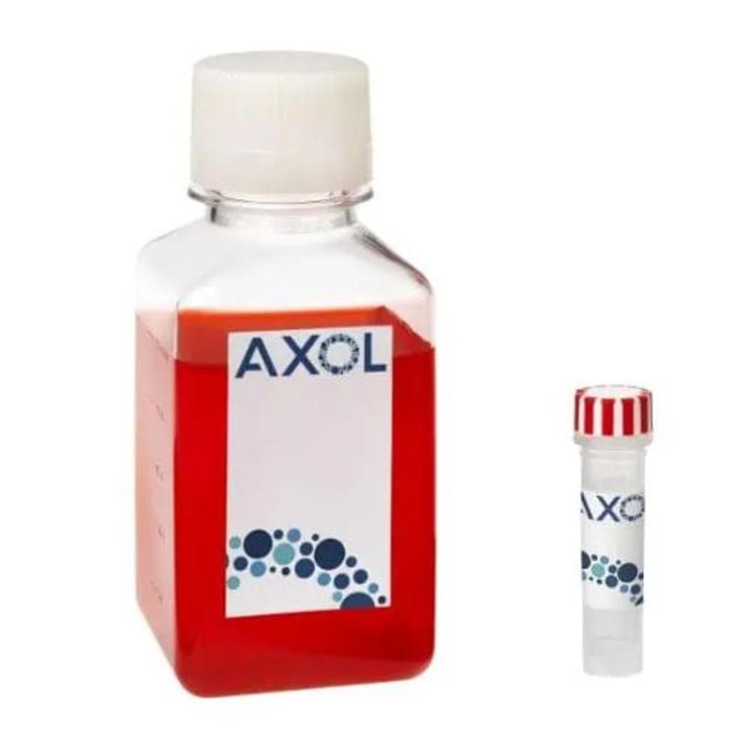 axoCells™ Human iPSC-Derived Sensory Neuron Media and Supplement kit - Axol Bioscience - Life Sciences