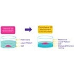 Attachment Factors for Cell Culture - Merck
