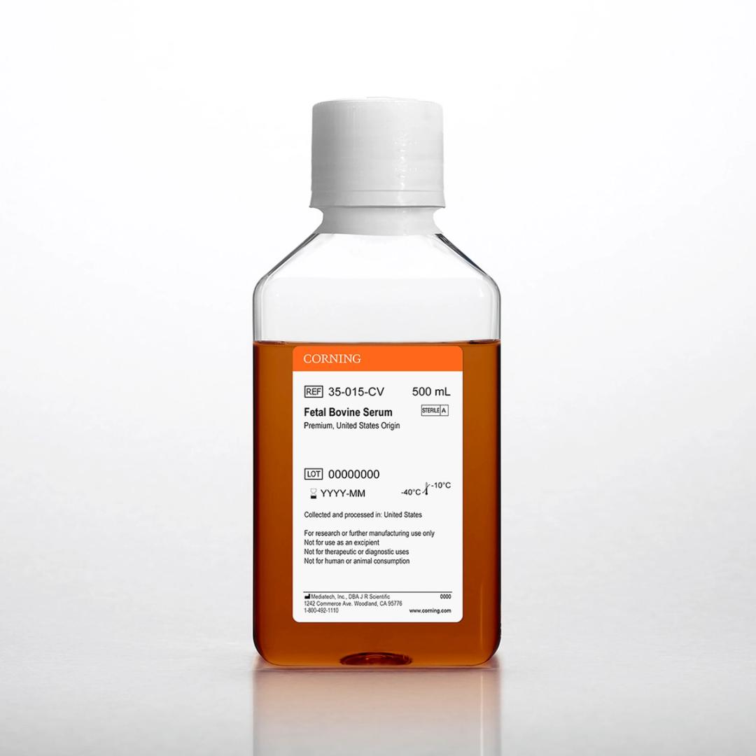 Corning® Fetal Bovine Serum, 500 mL, Regular, Canadian Origin (Heat Inactivated) - Corning Life Sciences - Life Sciences