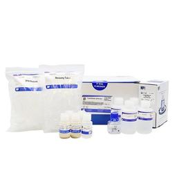 FastDNA SPIN Kit™ - MP Biomedicals - Life Sciences