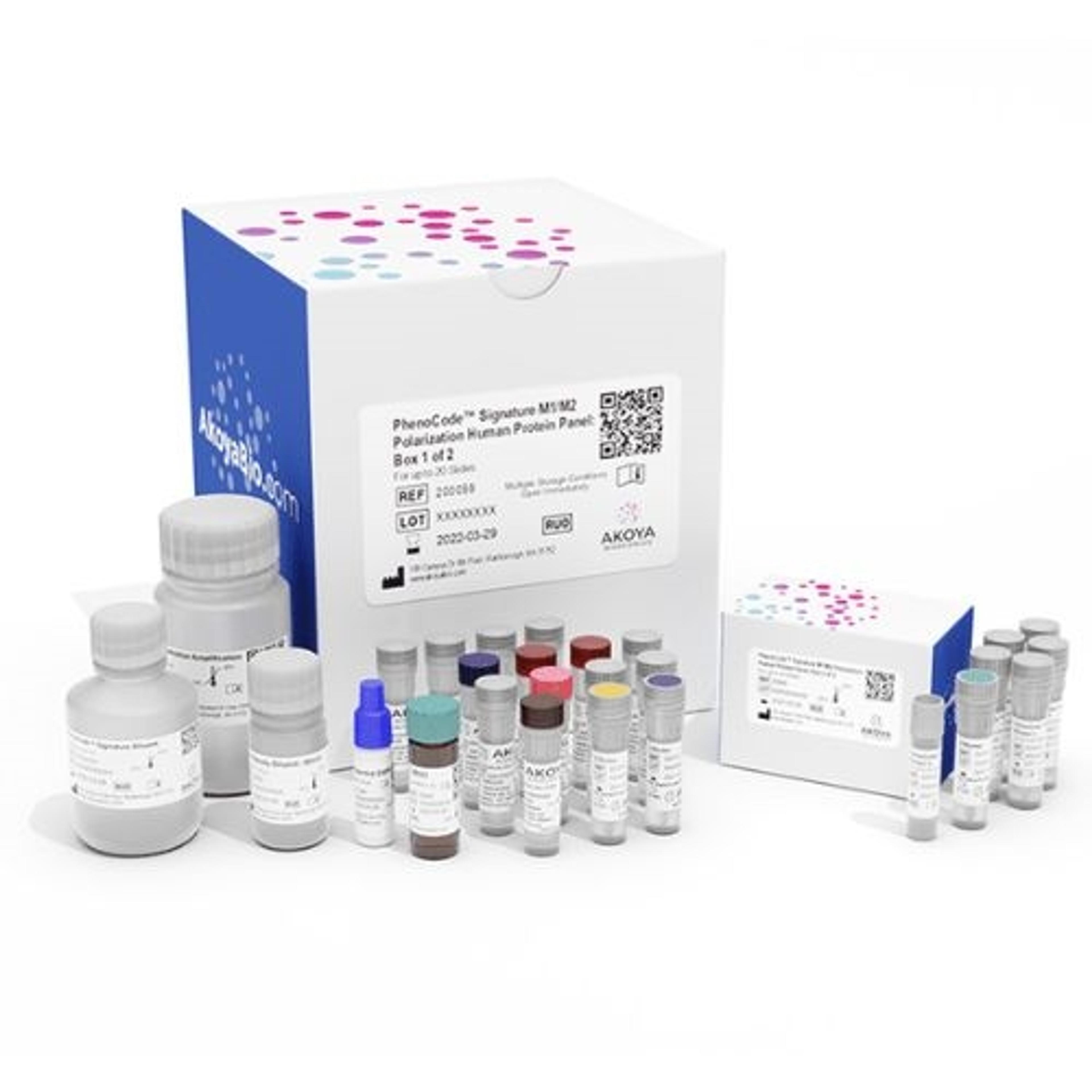 PhenoCode Signature M1/M2 Polarization Human Protein Panel - Akoya Biosciences - Clinical Diagnostics