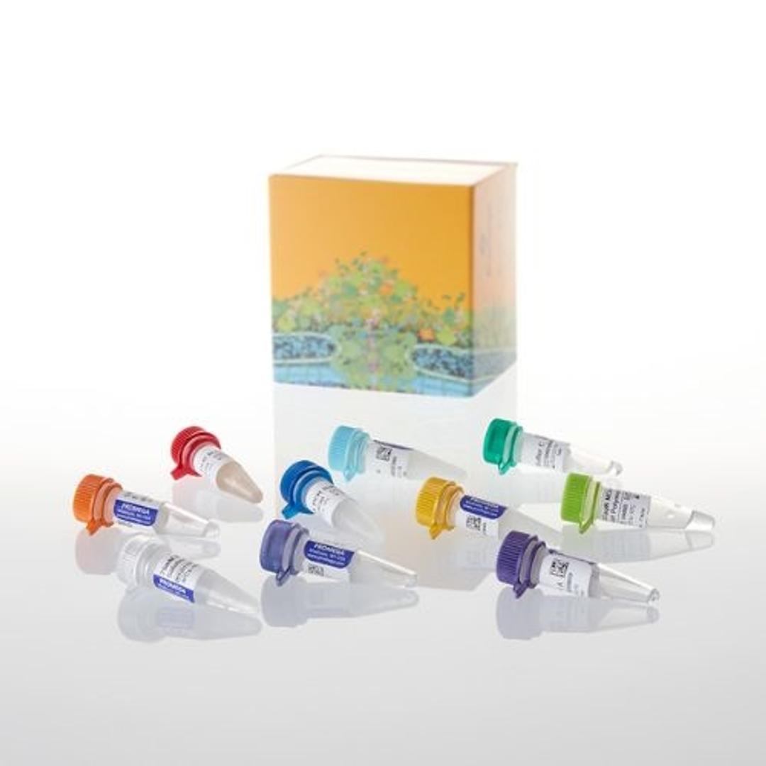 PCR Optimization Kit - Promega Corp. - Life Sciences