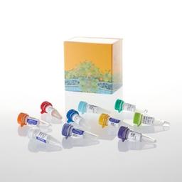 PCR Optimization Kit - Promega Corp. - Life Sciences