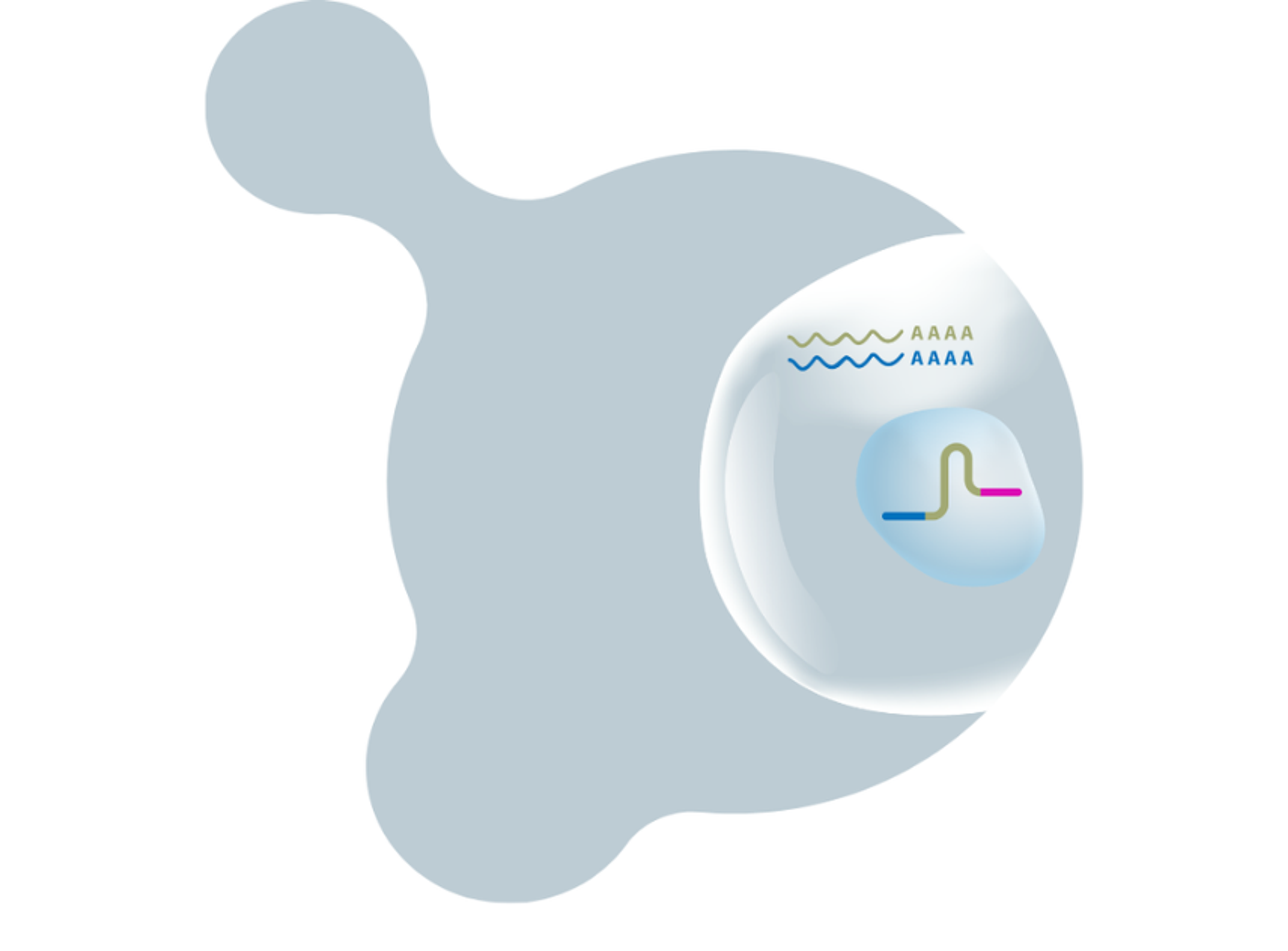 Single Cell CRISPR Guide Enrichment Kit - Scale Biosciences - Life Sciences
