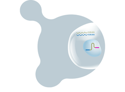 Single Cell CRISPR Guide Enrichment Kit - Scale Biosciences - Life Sciences