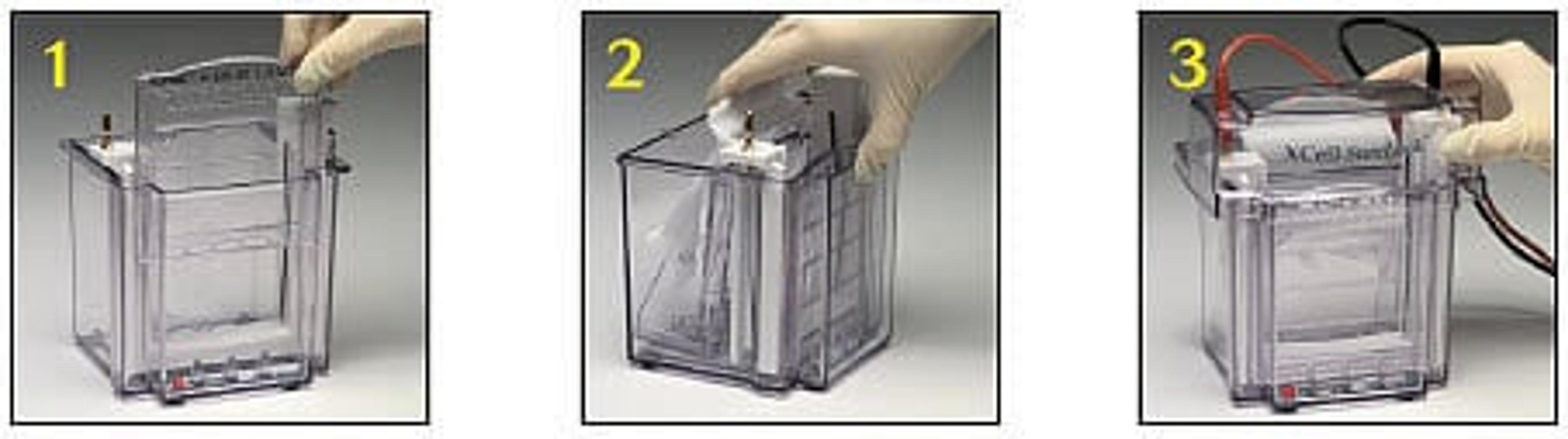 Invitrogen™ XCell SureLock™ Mini-Cell - Thermo Fisher Scientific - Life Sciences