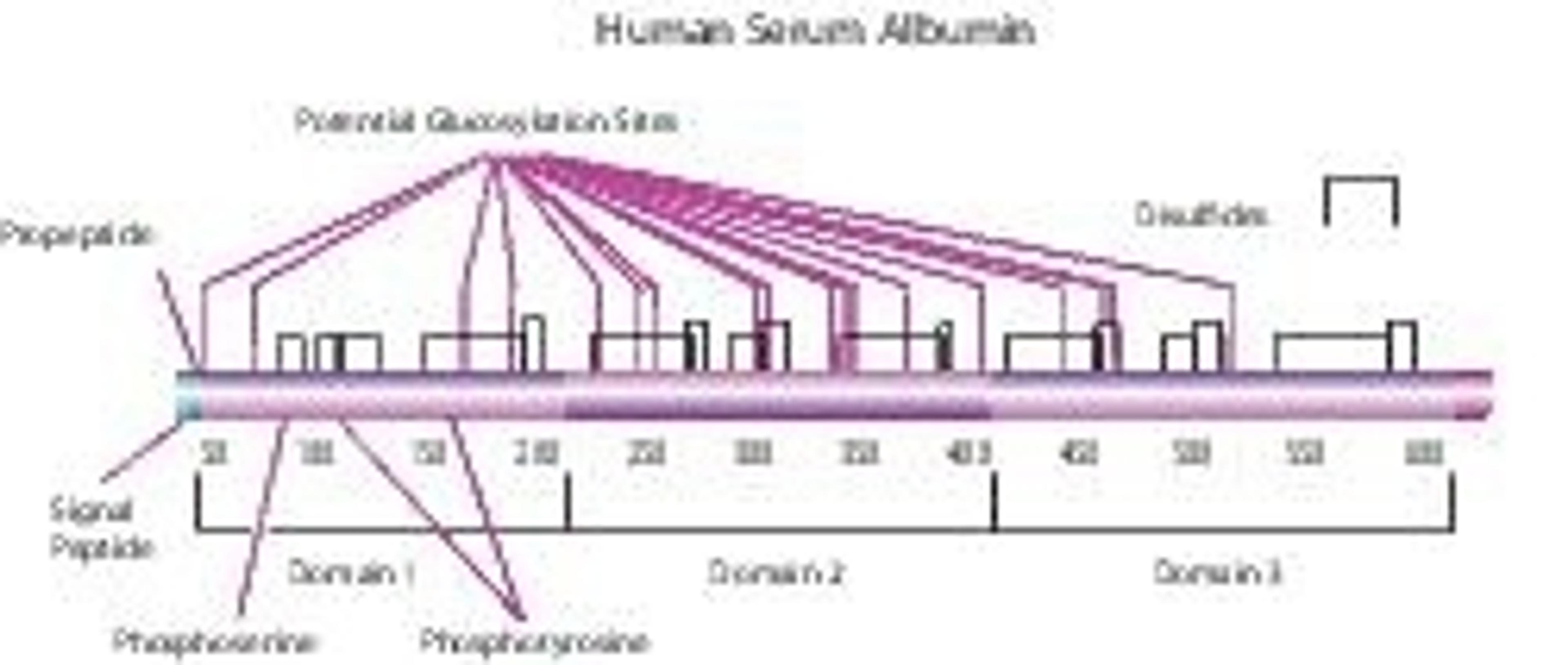 Albumin human - Merck KGaA, Darmstadt, Germany - Life Sciences