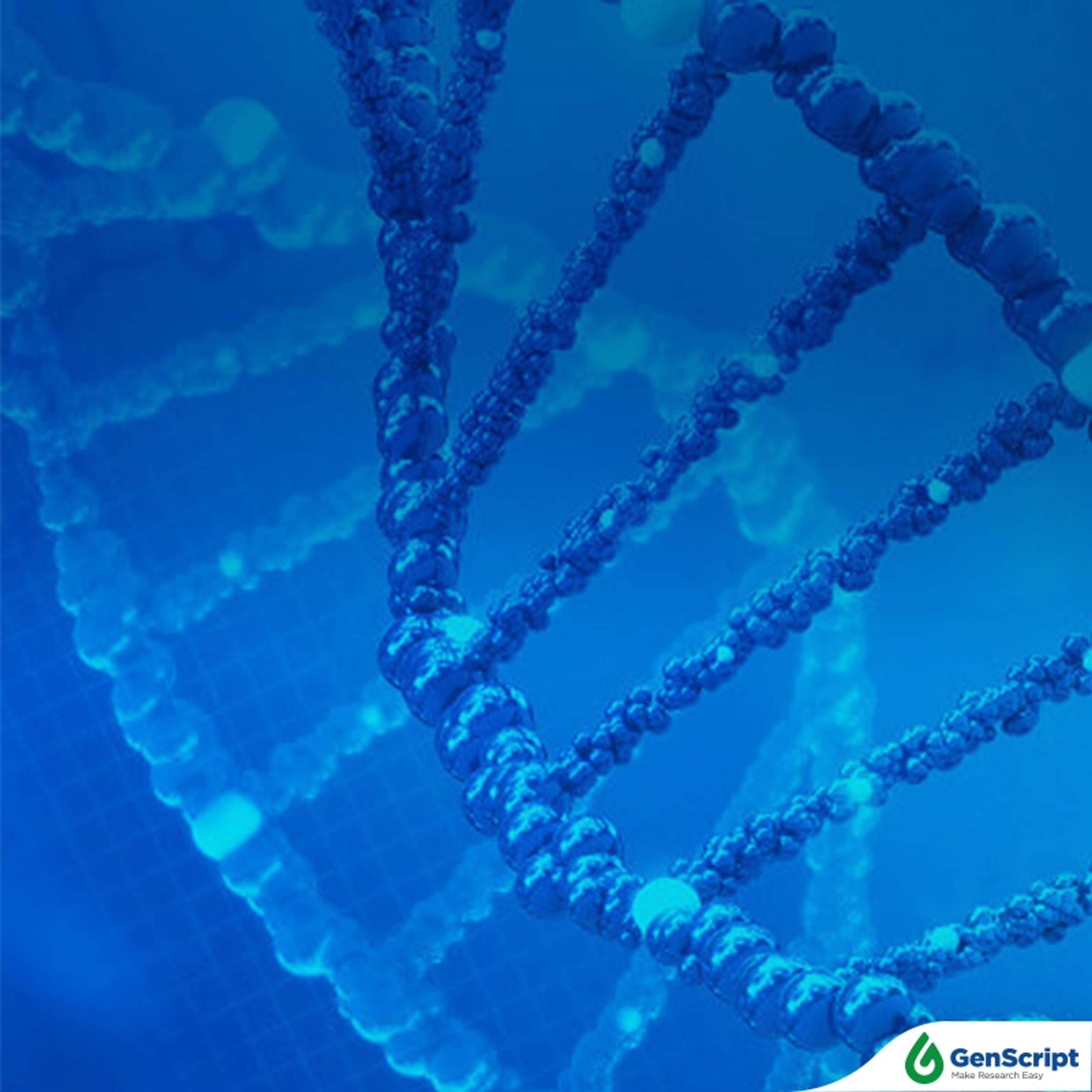 AAV-ITR Guarantee Service - GenScript - Life Sciences