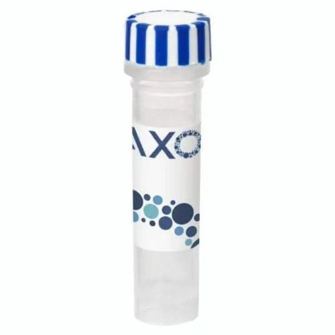 axoCells™ Human GDNF Supplement (10µg) - Axol Bioscience - Life Sciences