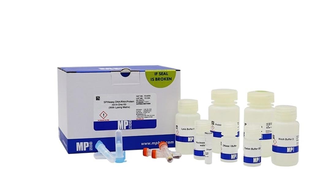 SPINeasy DNA/RNA/Protein All-In-One Kit - MP Biomedicals - Life Sciences