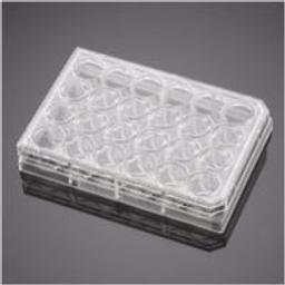 Corning® BioCoat™ Collagen I Inserts with 0.4 µm PET Membrane in two 24-well Plates, 12/Pack, 24/Case - Corning Life Sciences - Life Sciences