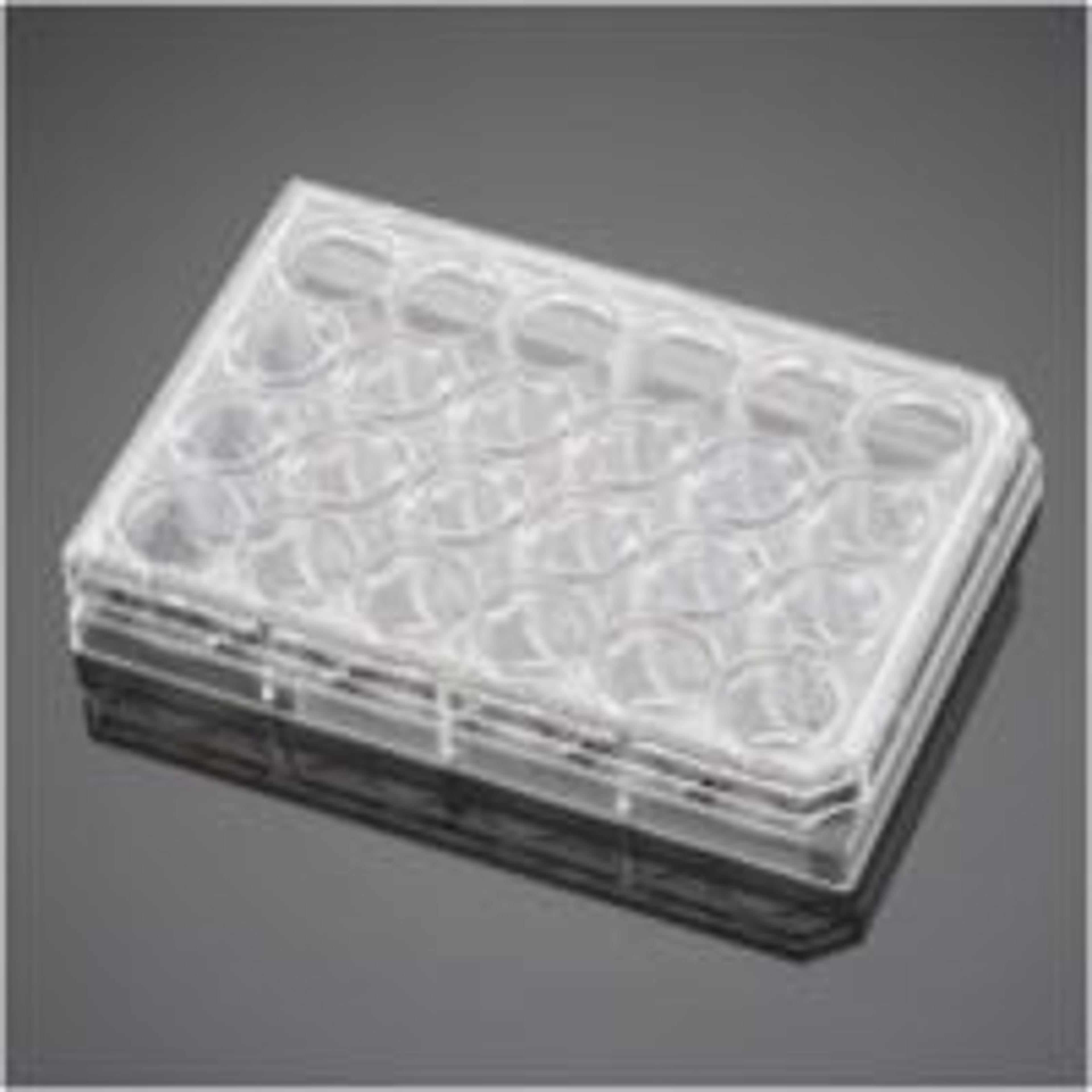 Corning® BioCoat™ Collagen I Inserts with 0.4 µm PET Membrane in two 24-well Plates, 12/Pack, 24/Case - Corning Life Sciences - Life Sciences