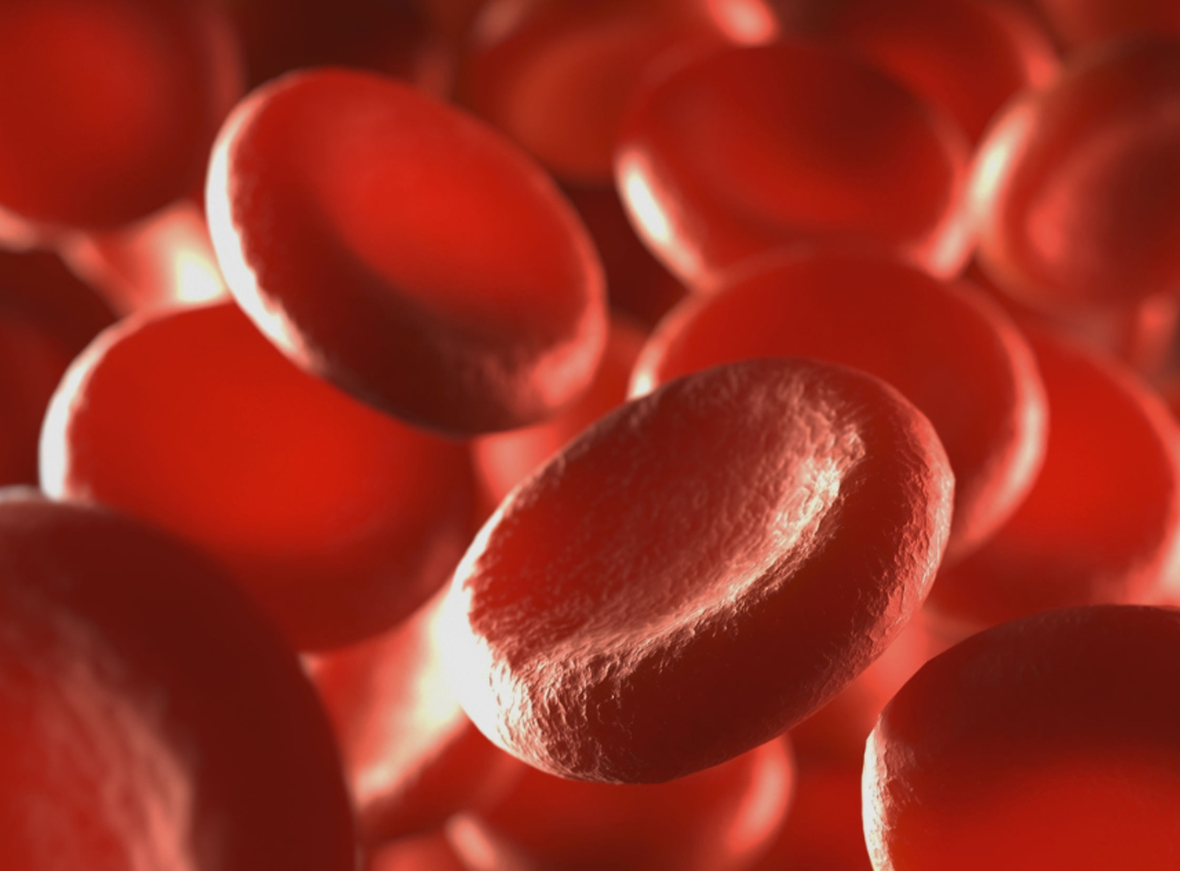 3D image of red blood cells 