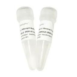 HiScript II Reverse Transcriptase - Vazyme Biotech Co., Ltd - Life Sciences