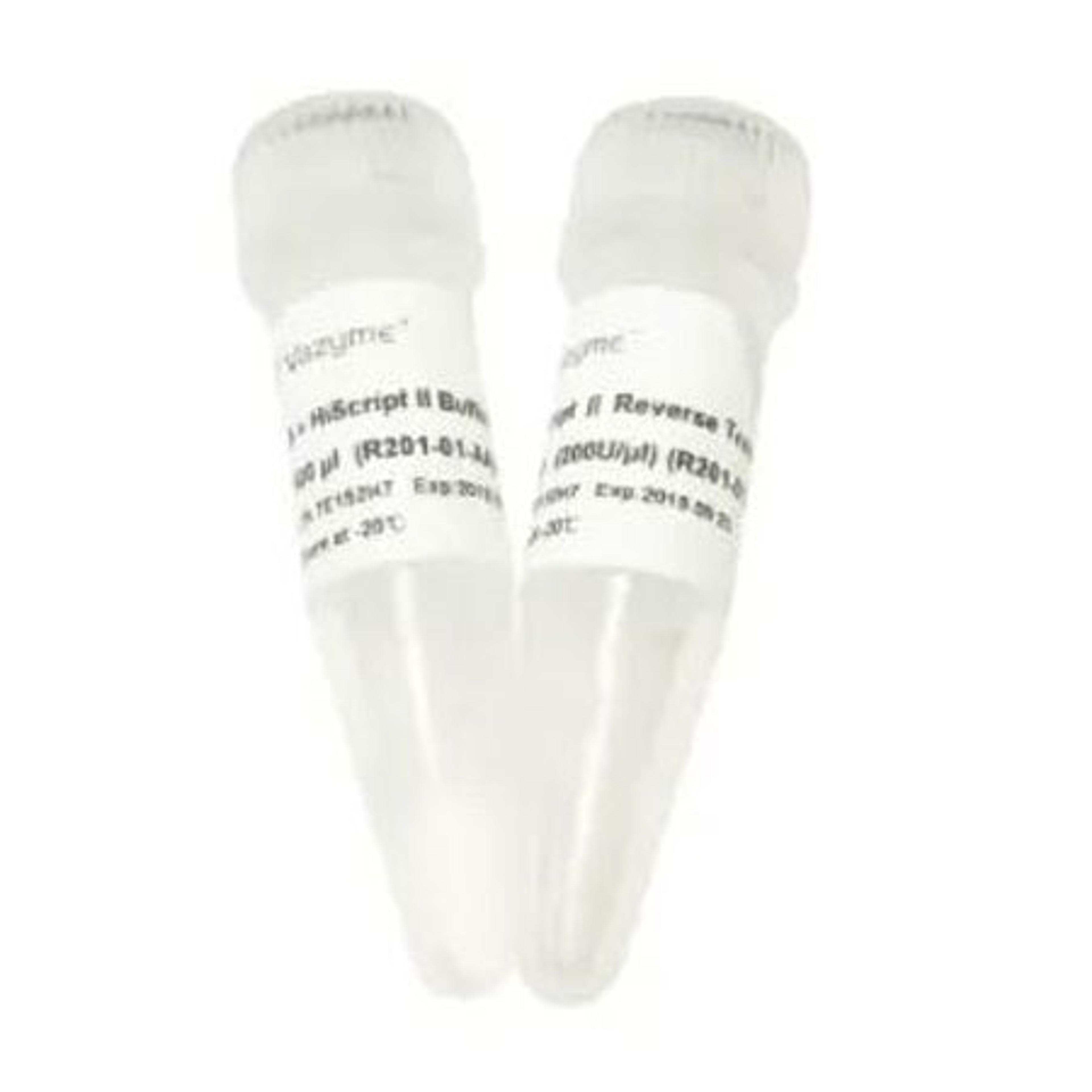 HiScript II Reverse Transcriptase - Vazyme Biotech Co., Ltd - Life Sciences