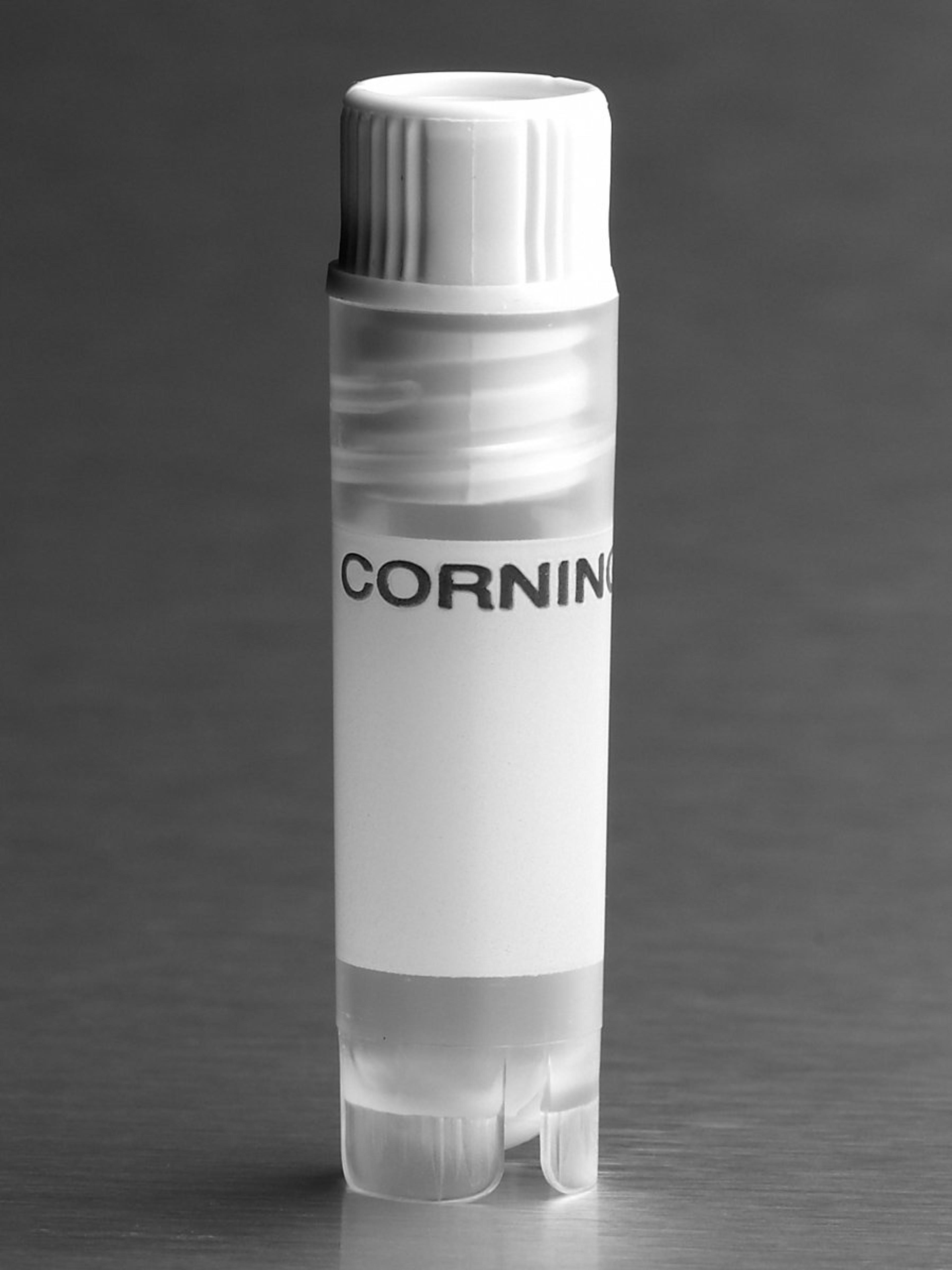 Corning® 2 mL White Cap Internal Threaded Polypropylene Cryogenic Vial, Self-Standing with Round Bottom - Corning Life Sciences - Life Sciences