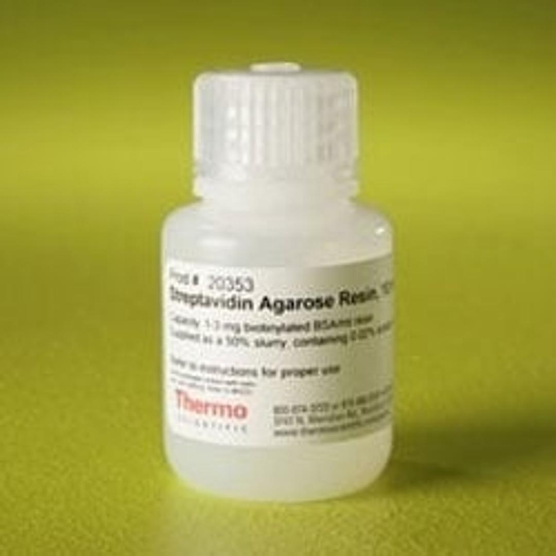 Thermo Scientific™ Pierce™ Streptavidin Agarose - Thermo Fisher Scientific - Life Sciences