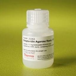 Thermo Scientific™ Pierce™ Streptavidin Agarose - Thermo Fisher Scientific - Life Sciences